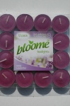 Tealights scented & coloured 12pks 12g