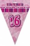 Pink Glitz 16 Flag Banner 12ft